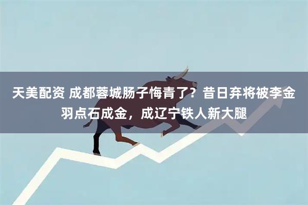 天美配资 成都蓉城肠子悔青了？昔日弃将被李金羽点石成金，成辽宁铁人新大腿