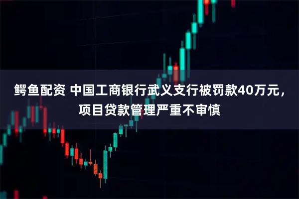 鳄鱼配资 中国工商银行武义支行被罚款40万元，项目贷款管理严重不审慎