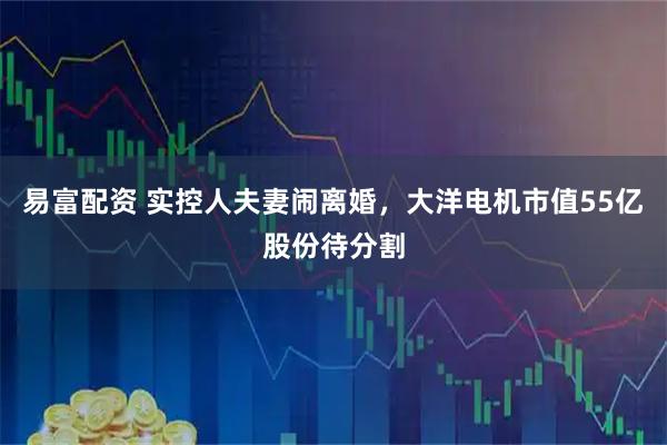 易富配资 实控人夫妻闹离婚,大洋电机市值55亿股份待分割