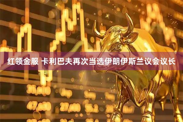 红领金服 卡利巴夫再次当选伊朗伊斯兰议会议长